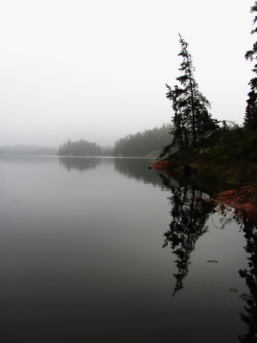 Foggy Rye Elliot Lake, Ontario Canada
