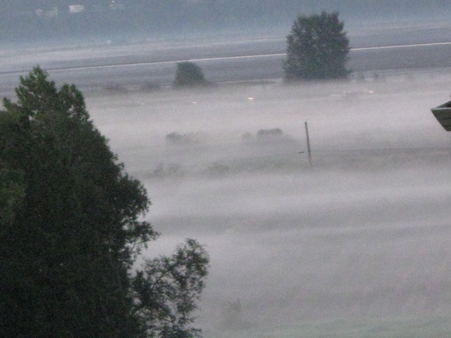 Sept. 11 morning fog Surrey, British Columbia Canada