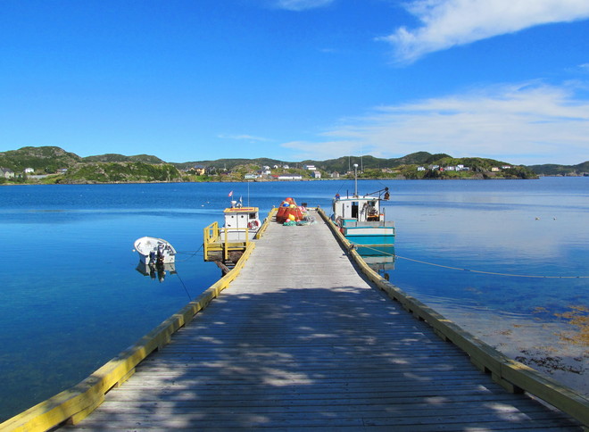 Elaine Strong Collins Cove, Newfoundland and Labrador Canada