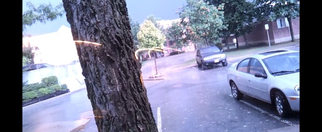 Tree gets struck by lightning! London, Ontario Canada