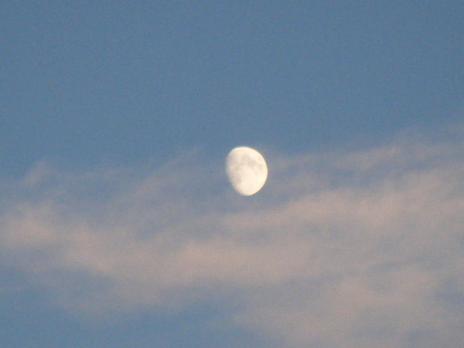 nice moon Moncton, New Brunswick Canada