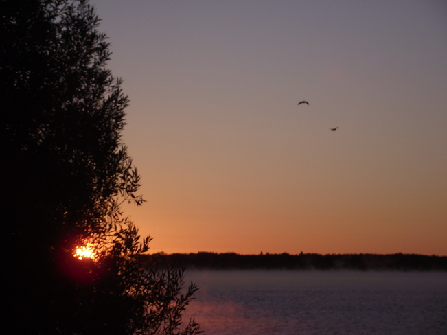 Sunrise and the Mist Lac du Bonnet, Manitoba Canada