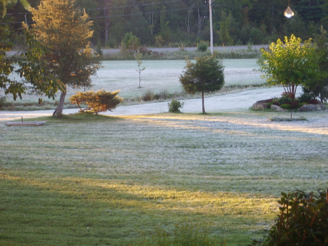 Morning frost Enterprise, Ontario Canada