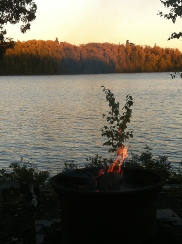 Fall night for a campfire Moonbeam, Ontario Canada