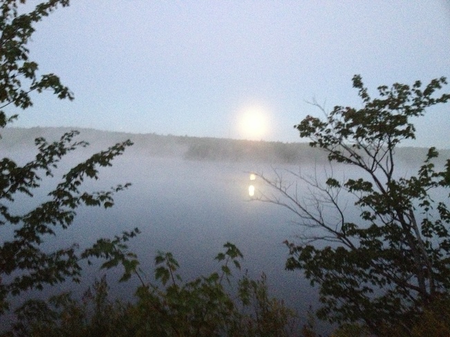 Misty Moon Over Lake Charles Dartmouth, Nova Scotia Canada