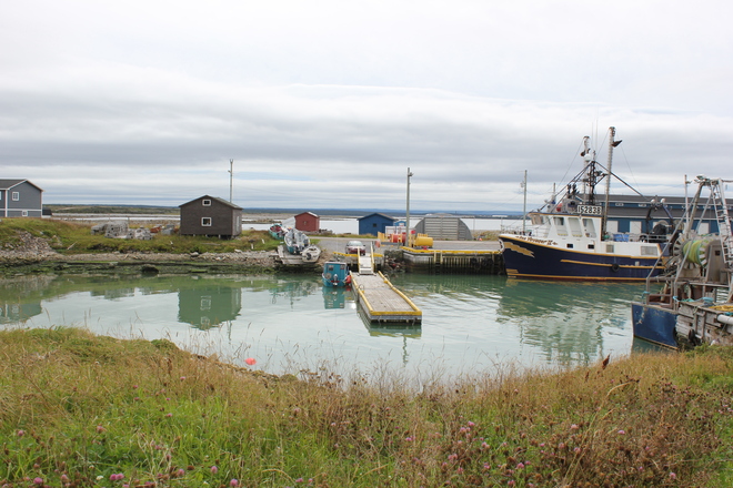boats by the sea Deadman's Bay, Newfoundland and Labrador Canada