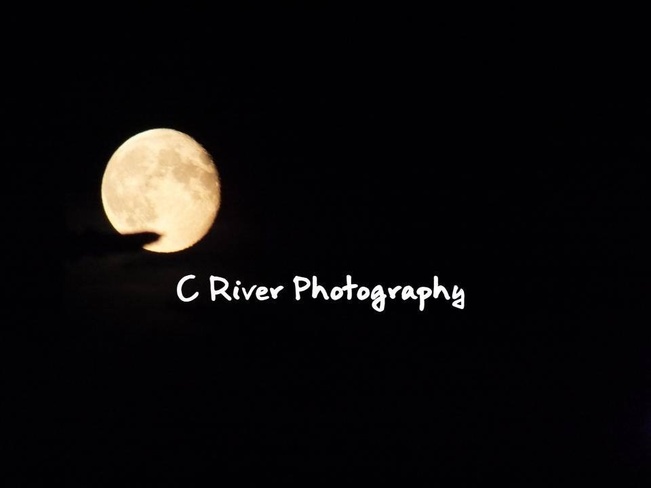 harvest moon Campbell River, British Columbia Canada