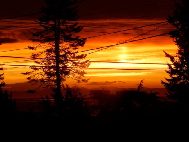 morning sky full of fire Courtenay, British Columbia Canada