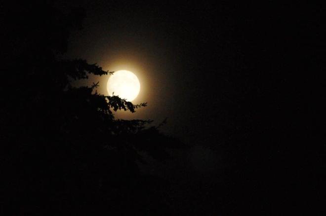 Full Moon in September Seattle, Washington United States