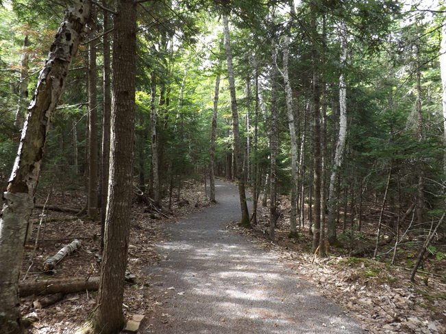 walking trail New Minas, Nova Scotia Canada