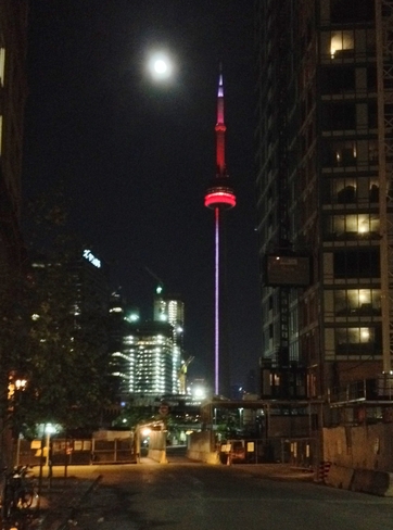 Toronto Moon Toronto, Ontario Canada