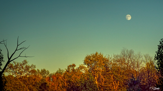 Moonrise at Sunset Smiths Falls, Ontario Canada