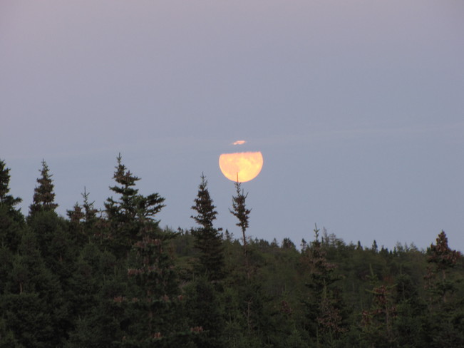 Moon rising over Trinity Bay Arnold's Cove, Newfoundland and Labrador Canada