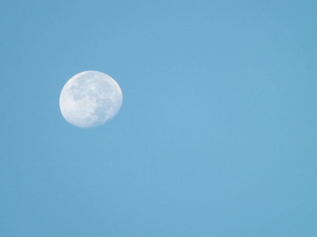 7:30 am moon New Minas, Nova Scotia Canada