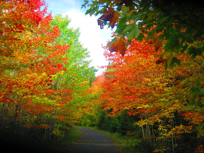 Couleurs d'automne Sainte-Agathe-des-Monts, Quebec Canada