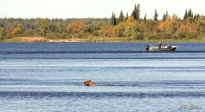The Fetch Rennie, Manitoba Canada