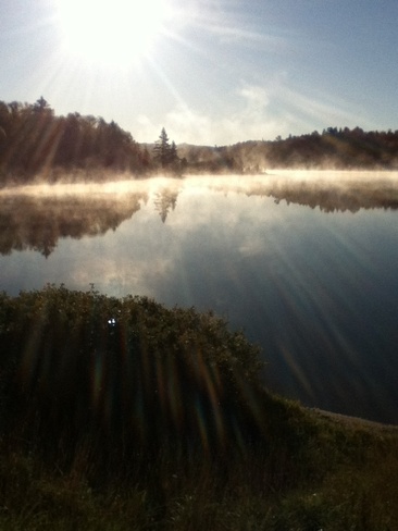 Morning Mist Heyden, Ontario Canada