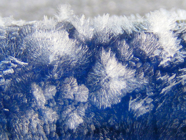 Frost Cobalt, Ontario Canada