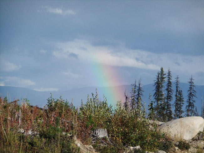 rainbow on the hill Fauquier, British Columbia Canada