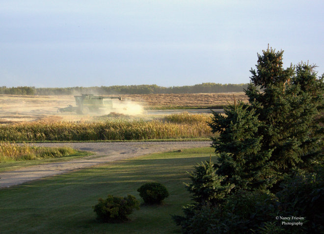 Prairie Harvest Viscount, Saskatchewan Canada