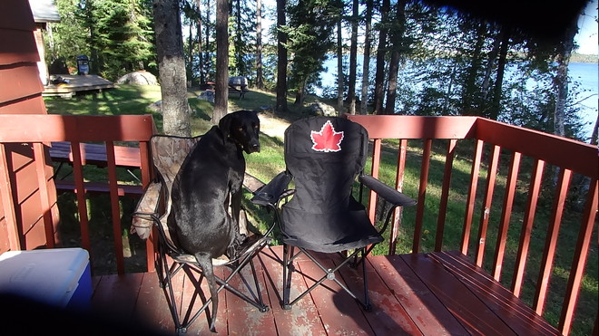 Winston takes his seat on the deck Thunder Bay, Ontario Canada