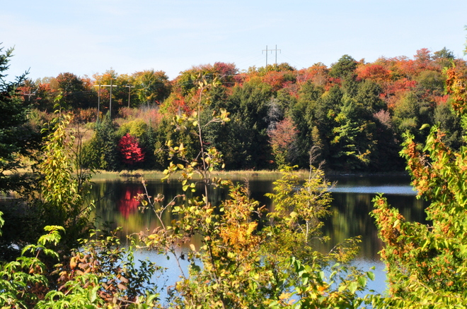 Fall colors Elliot Lake, Ontario Canada