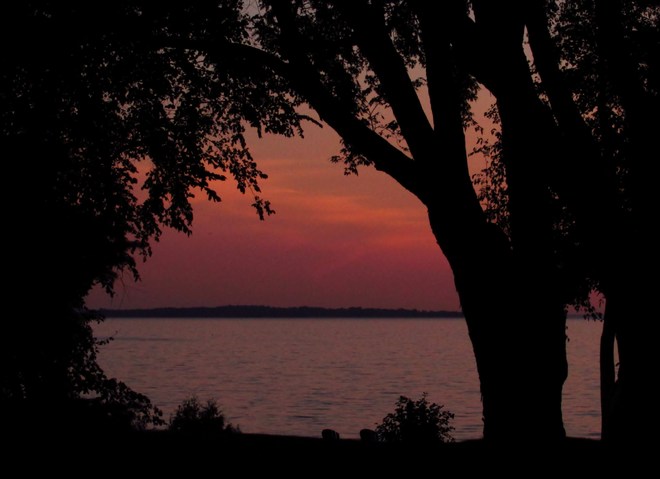 sunset through the trees North Bay, Ontario Canada