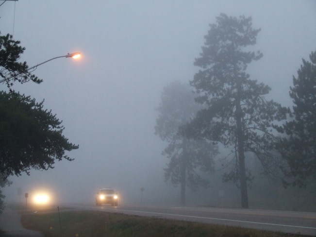 Super Foggy Morning Petawawa, Ontario Canada