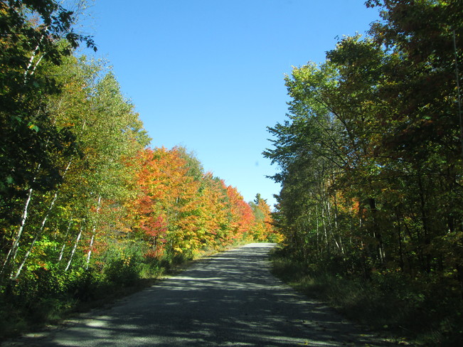 Fall Colours Elliot Lake, Ontario Canada