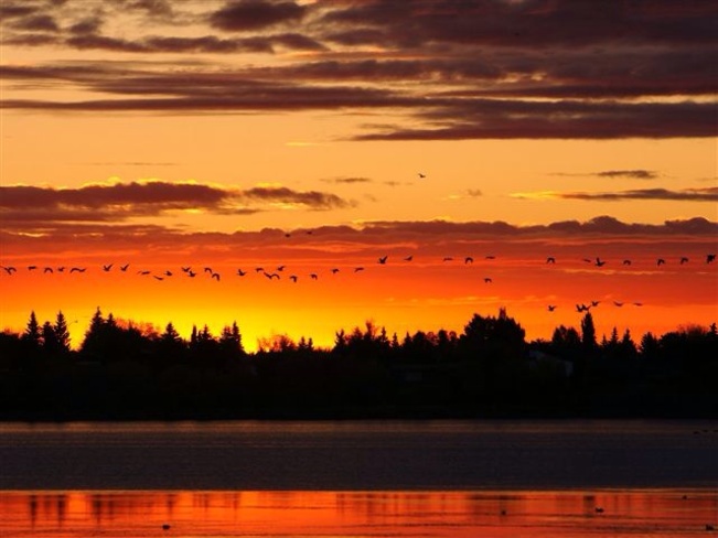 Sunrise Bonnyville, Alberta Canada