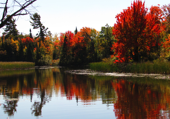 Autumn North Bay, Ontario Canada