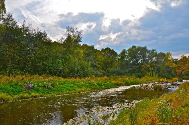 Silver creek Oakville, Ontario Canada