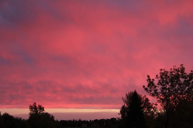 Red Sky at Morning Coaldale, Alberta Canada