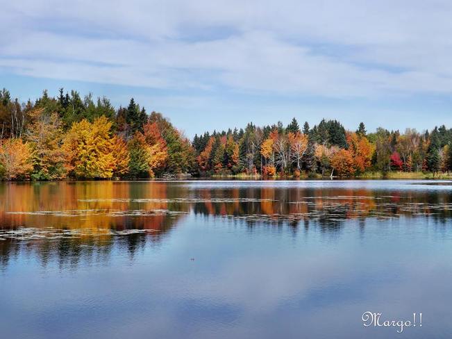 Reflections of Autumn Tracadie-Sheila, New Brunswick Canada