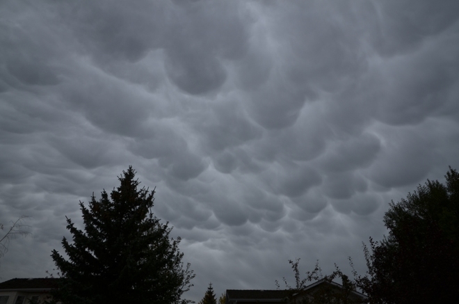 Mammatous clouds Edmonton, Alberta Canada