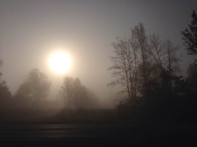 October Fog Welland, Ontario Canada