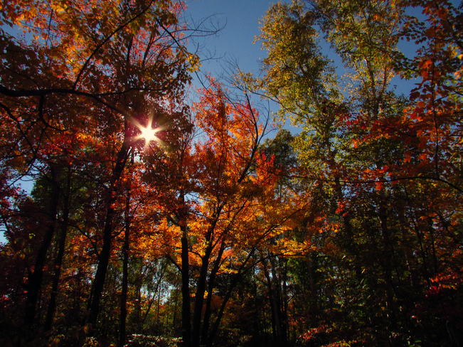Autumn trails North Bay, Ontario Canada