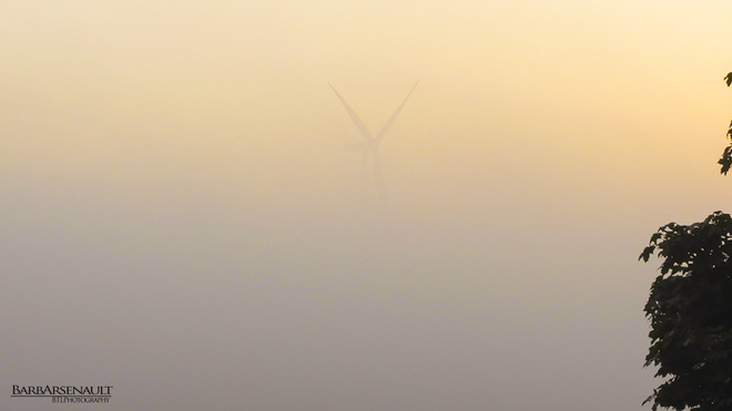 Foggy Morning Tilbury, Ontario Canada
