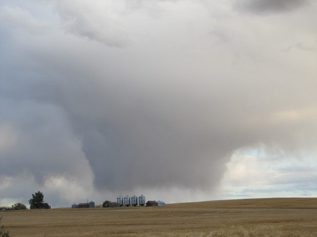 Looks like a tornado!!! Burstall, Saskatchewan Canada