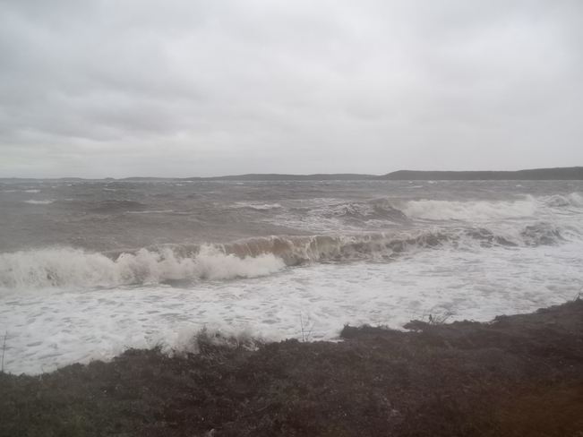 Wild Waves Birchy Bay, Newfoundland and Labrador Canada