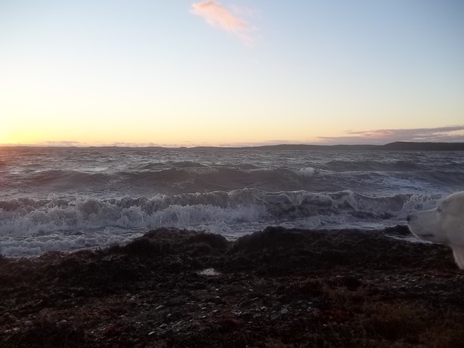 Waves At Sunset Birchy Bay, Newfoundland and Labrador Canada