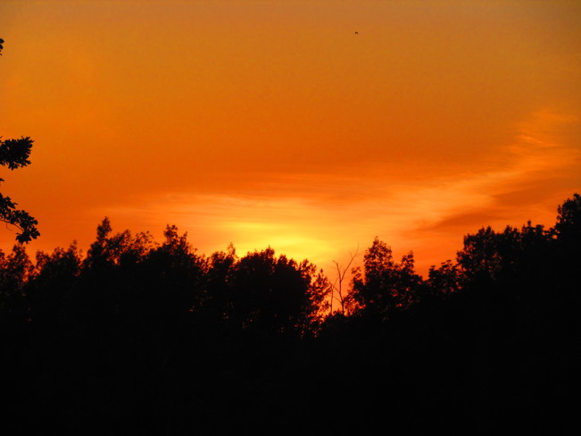 Sunset Orange Mississauga, Ontario Canada