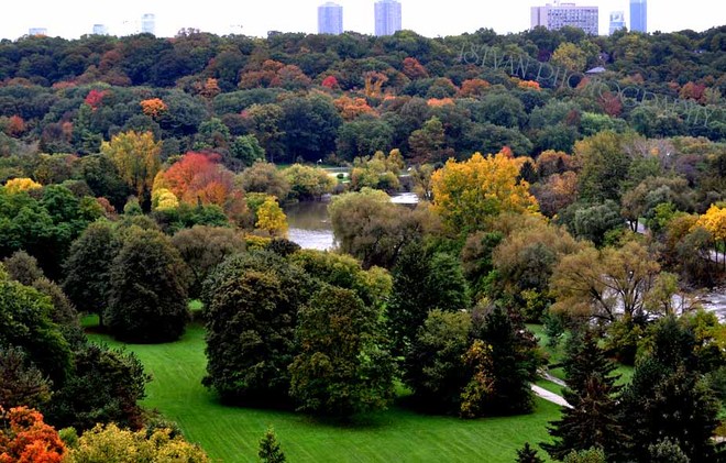 The colour changing park Toronto, Ontario Canada