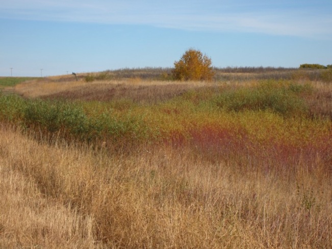 ditch colors Kerrobert, Saskatchewan Canada