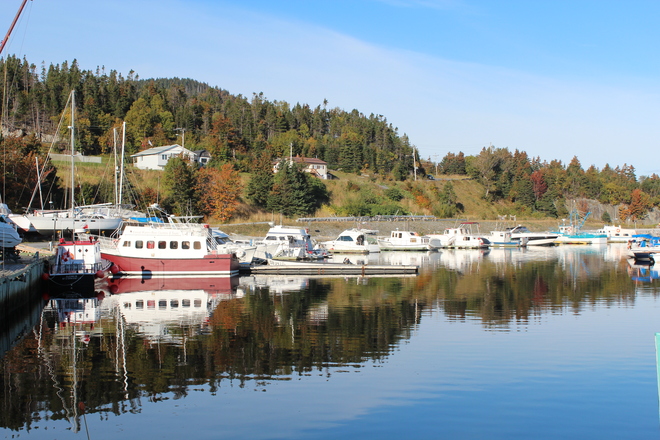 Beautiful Fall Day Corner Brook, Newfoundland and Labrador Canada