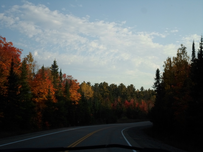 Fall Colours along 108 Hwy E.L Elliot Lake, Ontario Canada