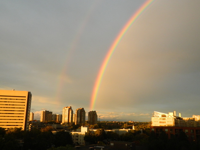 Rainbow New Toronto, Ontario Canada