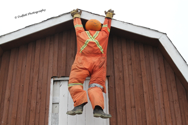 Just hanging out (Halloween) St. John's, Newfoundland and Labrador Canada
