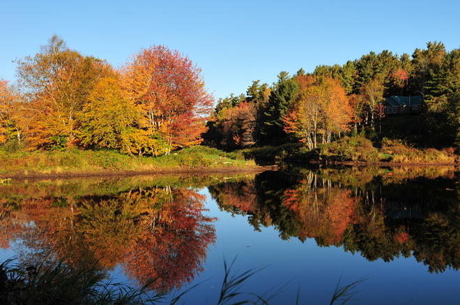 Beautiful Fall colors on Sunday morning. Moncton, New Brunswick Canada