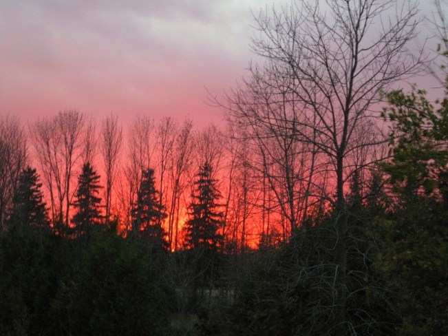 Fire or Sunset Cobourg, Ontario Canada